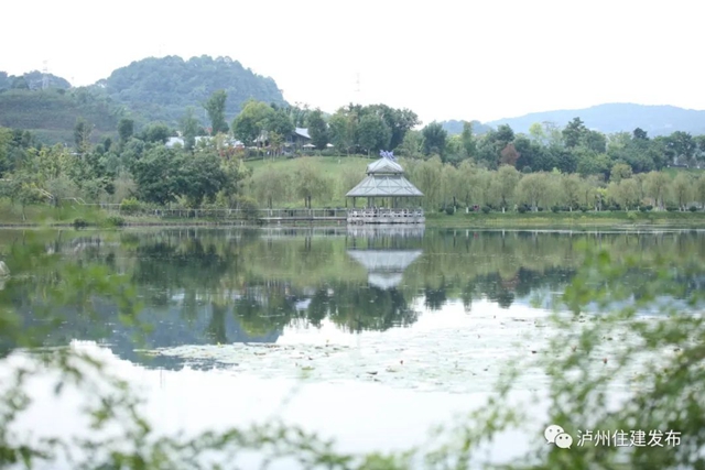 泸州:渔子溪大片粉黛拍了拍你,错过等一年!(图15) 15.jpg