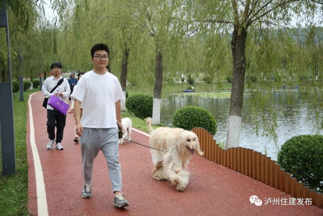 泸州:渔子溪大片粉黛拍了拍你,错过等一年!(图18) 18.jpg