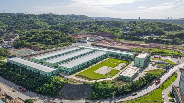 一根翠竹带动“兴业富民”,纳溪胸有成“竹”(图1) 竹1.jpg