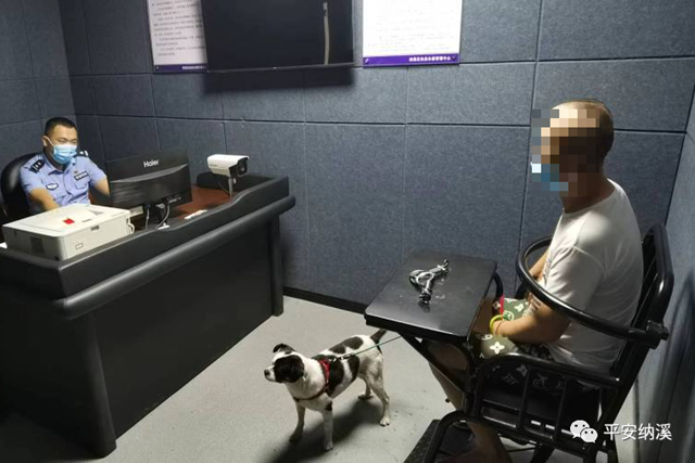 泸州“养犬”类典型案件公布,警方已处罚多人!(图4) 微信图片_20231019091917.png