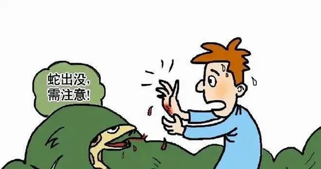 【警惕】泸州一天之内发生3起!医生表示:不可按照“民间流程”自行处理!(图4) 微信图片_20231019083848.jpg