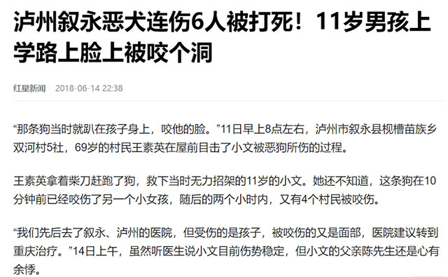 泸州母子遭恶犬咬伤!拿什么保护你,我的宝贝?(图1) 1.jpg