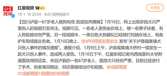 泸州母子遭恶犬咬伤!拿什么保护你,我的宝贝?(图2) 2.jpg