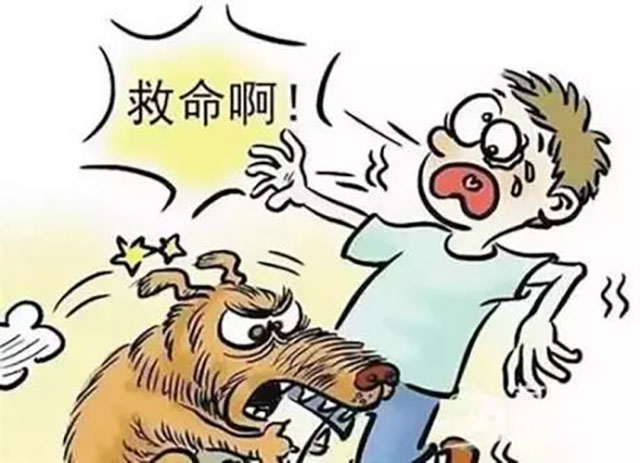泸州母子遭恶犬咬伤!拿什么保护你,我的宝贝?(图3) 3.jpg