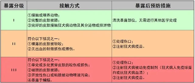 泸州母子遭恶犬咬伤!拿什么保护你,我的宝贝?(图6) 6.jpg