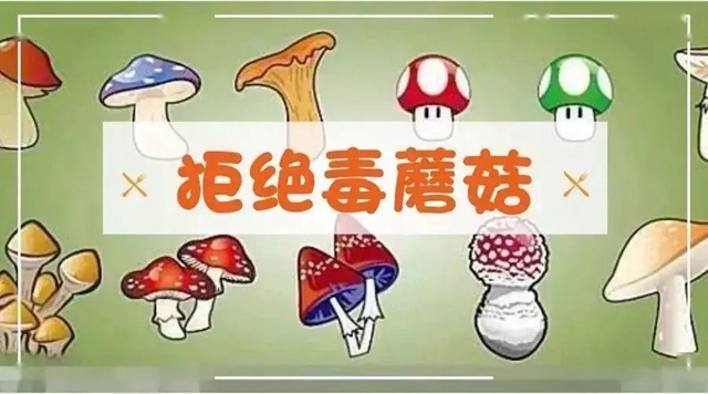 微信图片_20231020093801.jpg