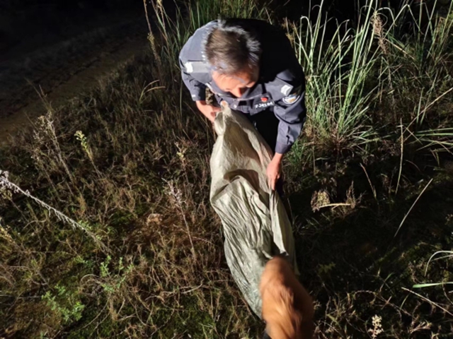 小惊喜!内江这里闹市区来了只“小可爱”(图4) 可爱4.jpg