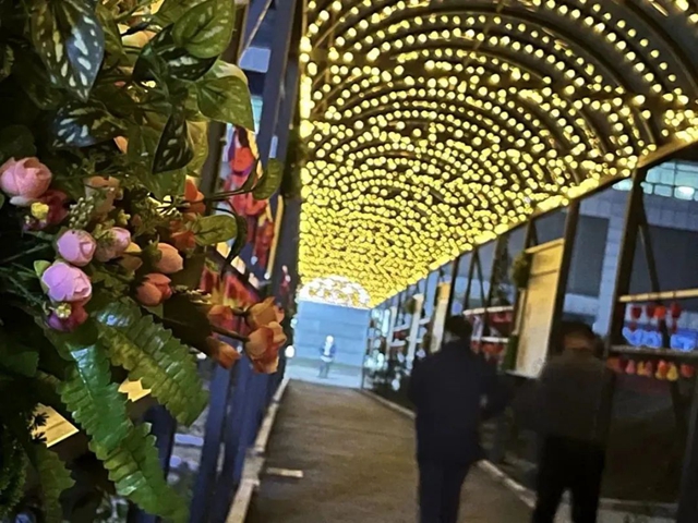 蝶变丨这条小道上,有医院里最温柔的风景(图16) 15.jpg