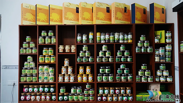 古蔺彰德街道:金丝皇菊绽放 铺就金色“致富路”(图7) nEO_IMG_7.jpg