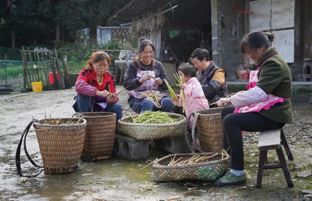 层林尽染!秋日罗汉林,超美!(图9) 9.jpg