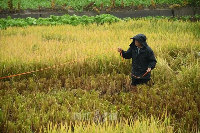 420.73！内江这里破纪录啦