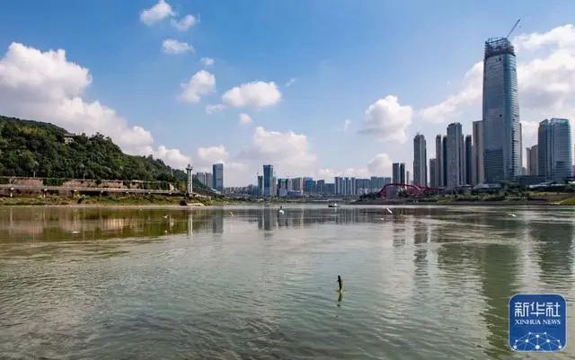 宜宾三江口有人非法捕捞？官方回应：系生物资源监测