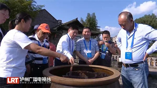 来自美国、比利时、澳大利亚……海外华文媒体记者走进泸州