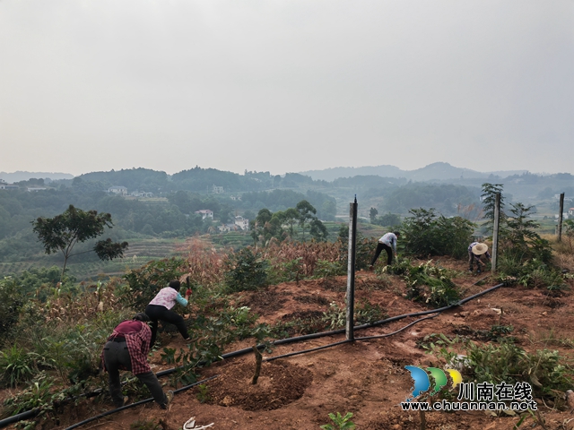 村民在后扶项目基地参加劳动1（曾佐然摄）.jpg