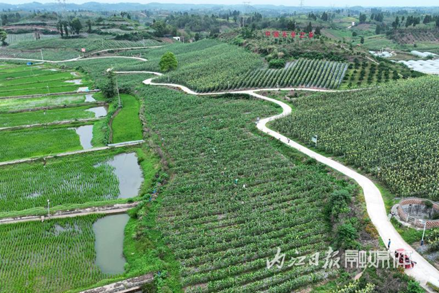 掌声在哪里!内江天冬,榜首(图2) 微信图片_20231102093940.png