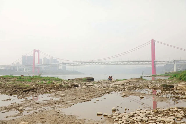 打卡地+1!龙马潭这片芦苇地拍照真的太出片了!(图14) 14.jpg