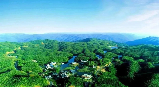 初冬的味道，从合江玉兰山的“年猪汤”开始！