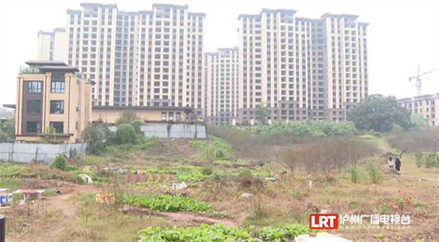 泸州将新增两个休闲娱乐公园，在你家附近吗？