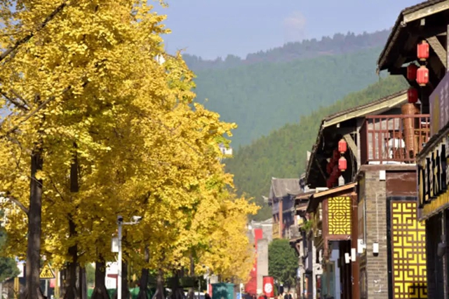 美到“犯规”!古蔺秋冬限定“多巴胺”上线……(图5) 微信图片_20231110091816.jpg