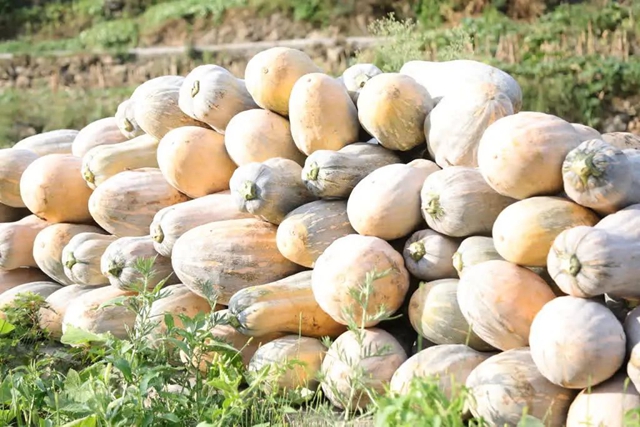 美到“犯规”!古蔺秋冬限定“多巴胺”上线……(图9) 微信图片_20231110091837.jpg