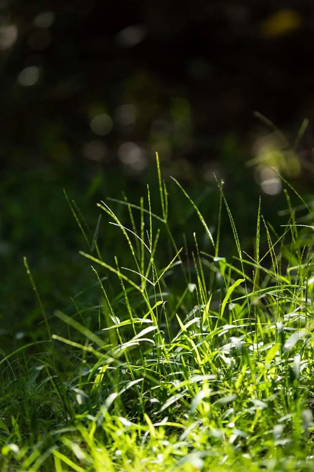 美到“犯规”!古蔺秋冬限定“多巴胺”上线……(图12) 微信图片_20231110091851.jpg