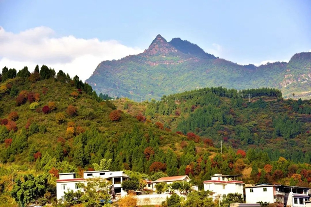 美到“犯规”!古蔺秋冬限定“多巴胺”上线……(图15) 微信图片_20231110091908.jpg