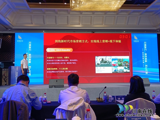 泸县创业项目参加川渝聚力创业创新大赛获奖(图3) 泸县“诚意石雕”项目路演.jpg