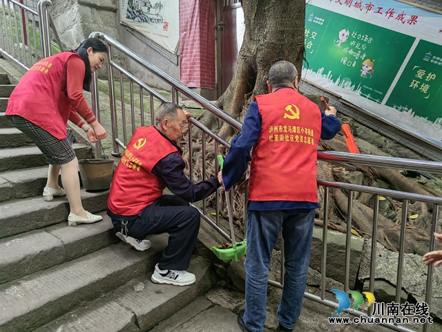 龙马潭区小市街道杜家街社区:党员先锋在行动 志愿服务践初心(图1) 42DAB7A4DB96EA1C9D3758C70B0EB632.jpg