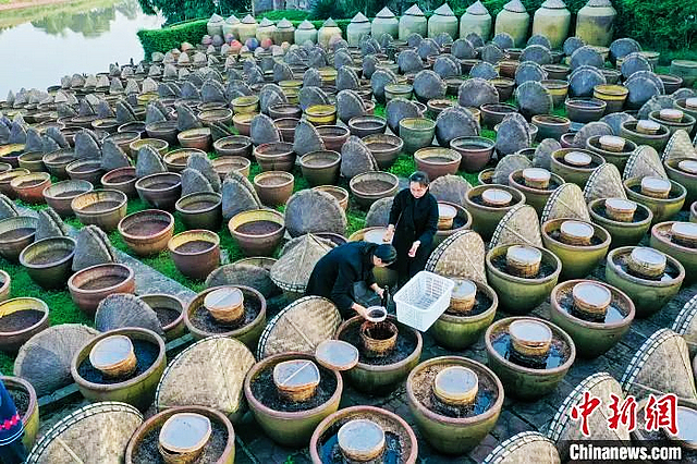 四川日报关注合江县先市酱油混合用地改革