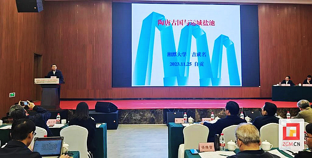 千载盐文化如何“盐”续荣光?从一场学术研讨会中寻觅答案(图5) nEO_IMG_5.jpg