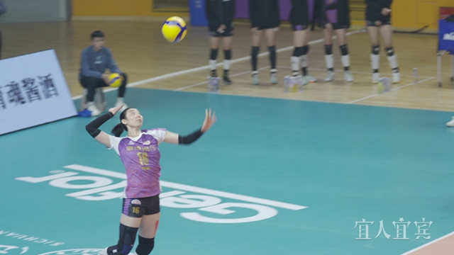 热情澎“排”！2023—2024中国排球超级联赛在高县举行