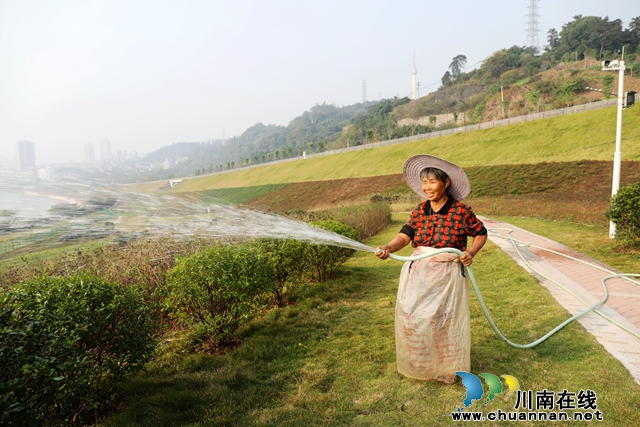 工人正在对生态修复带绿化进行浇水、除草等维护。+(1) (1).JPG