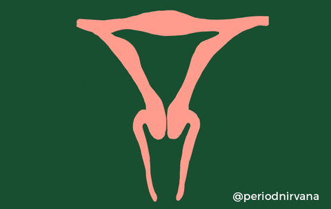 3.gif