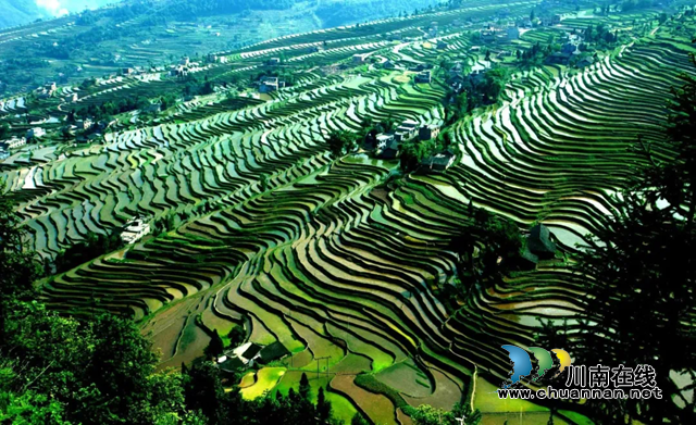 古蔺:乡风文明“赋加值”,和美画卷“高颜值”(图11) 泸州市古蔺县德耀镇风光.png