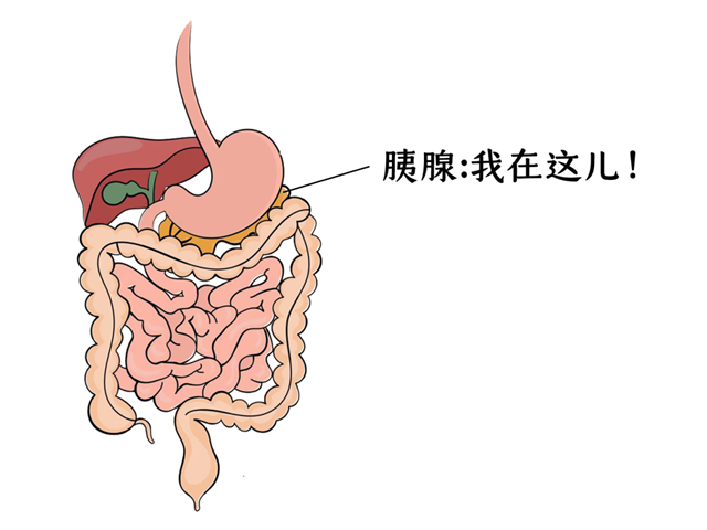 【提醒】它是“癌中之王”，却常被误认为是胃病！出现这4个症状，别再拖