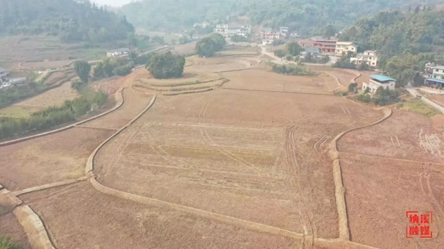 田1.jpg