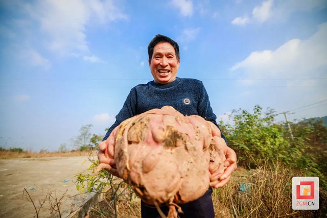 红1.jpg