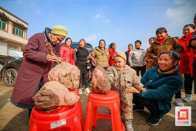 红5.jpg