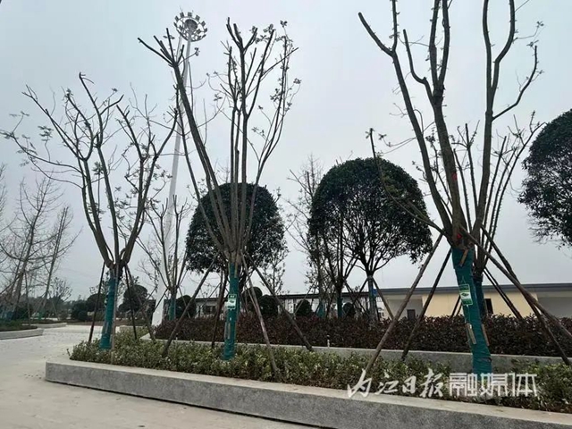 本月底通车!记者带你实探内江这个新高铁站——(图7) 微信图片_20231206111105.jpg