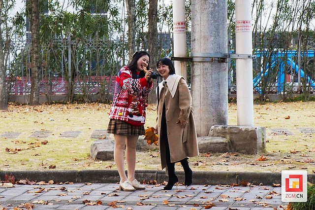 板仓梧桐的浪漫等你去打卡——(图7) nEO_IMG_7.jpg