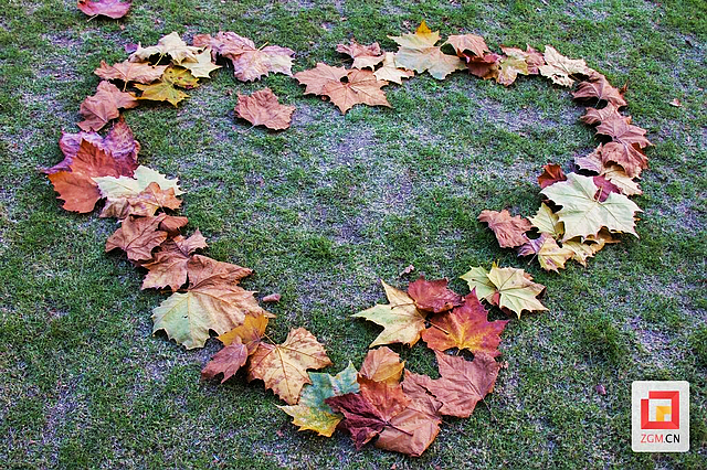 板仓梧桐的浪漫等你去打卡——(图11) nEO_IMG_11.jpg