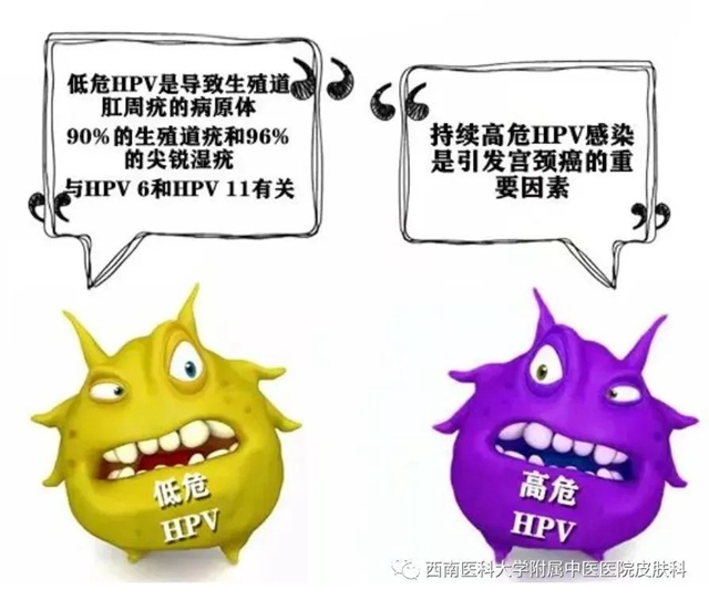 微信图片_20231212110236.jpg