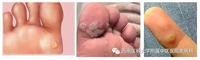 微信图片_20231212110256.jpg