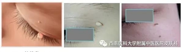 微信图片_20231212110301.jpg