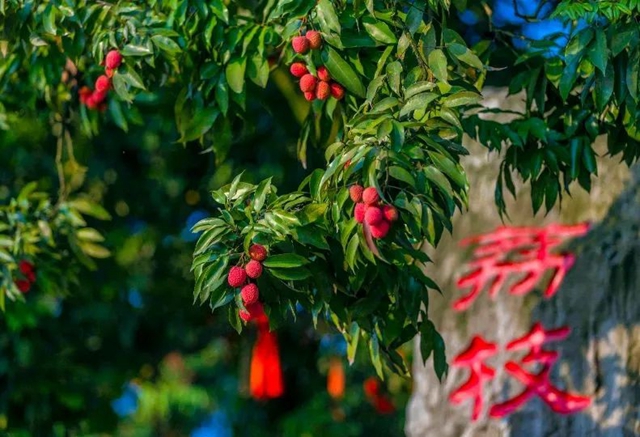 泸州,一座长江见证之城(图26) 微信图片_20231213110110.jpg