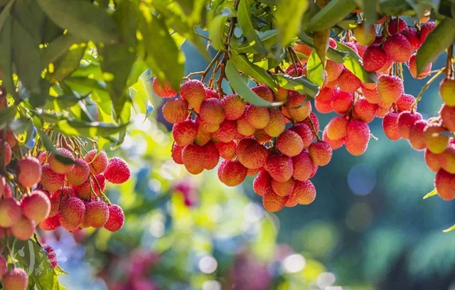 泸州,一座长江见证之城(图27) 微信图片_20231213110114.jpg