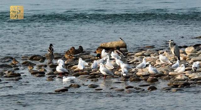 泸州,一座长江见证之城(图28) 微信图片_20231213110122.jpg