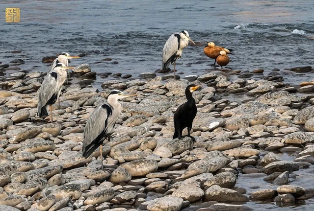 泸州,一座长江见证之城(图29) 微信图片_20231213110127.jpg