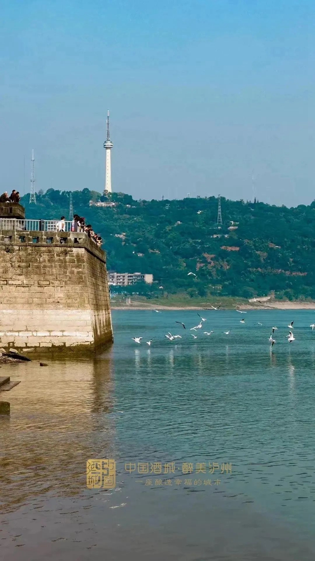 泸州,一座长江见证之城(图31) 微信图片_20231213110135.jpg