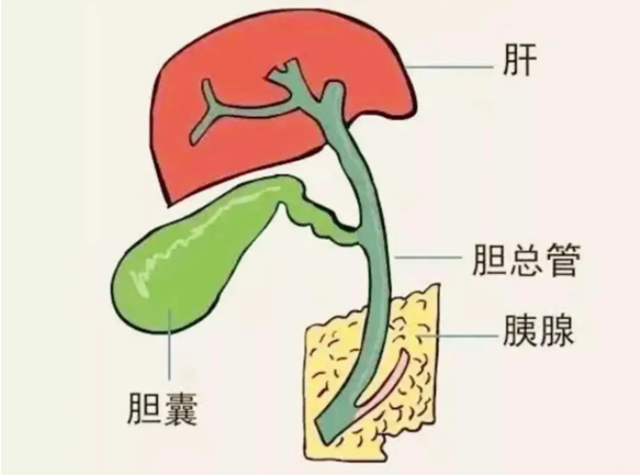 微信图片_20231215102720.png